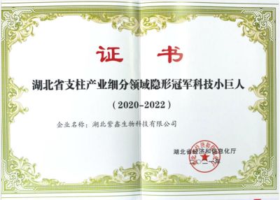 2020年湖北省科技小巨人企业
