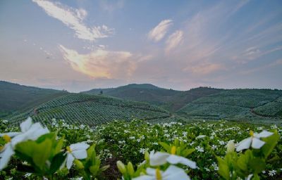 “全产业链” 发展